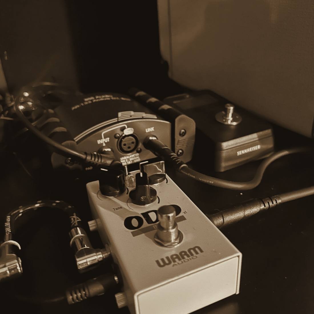 Lounge corner with Marshall amps and plants